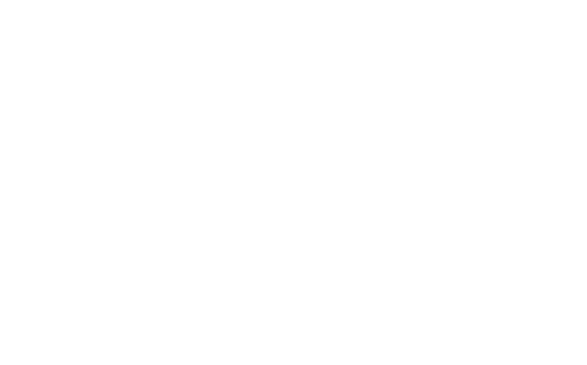 MetOne