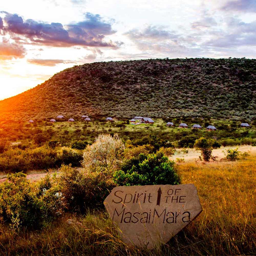 Spirit of the Masai Mara